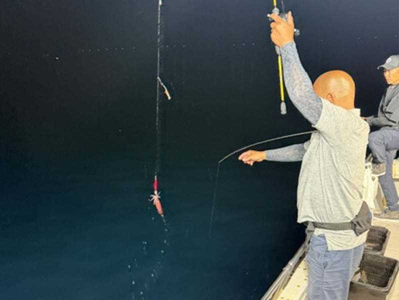 丹後の釣り船海弁慶のイカ釣り